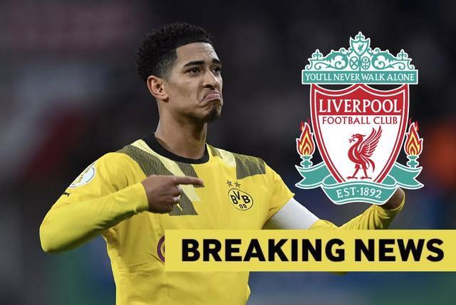 损失提醒嵌 损失提醒嵌